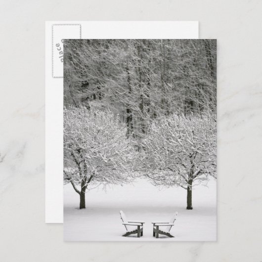 Door sneeuw bedekt landschap briefkaart (Voorkant / Achterkant)