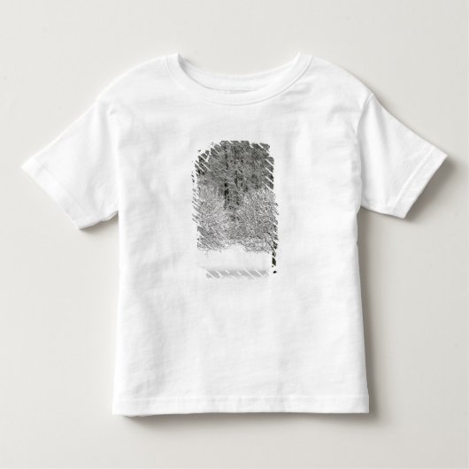 Door sneeuw bedekt landschap kinder shirts (Voorkant)