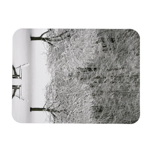Door sneeuw bedekt landschap magneet (Horizontaal)