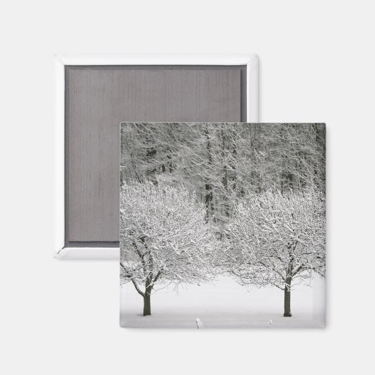 Door sneeuw bedekt landschap magneet (Voorkant / Achterkant)