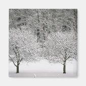 Door sneeuw bedekt landschap magneet (Voorkant)