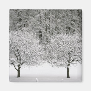 Door sneeuw bedekt landschap magneet