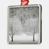 Door sneeuw bedekt landschap metalen ornament (Links)