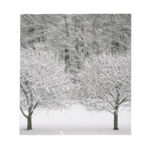 Door sneeuw bedekt landschap notitieblok