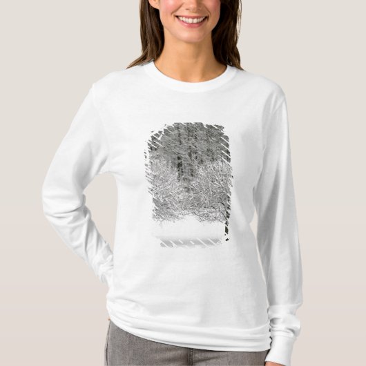 Door sneeuw bedekt landschap t-shirt (Voorkant)