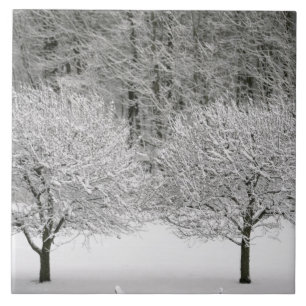 Door sneeuw bedekt landschap tegeltje