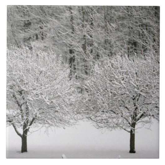 Door sneeuw bedekt landschap tegeltje (Voorkant)