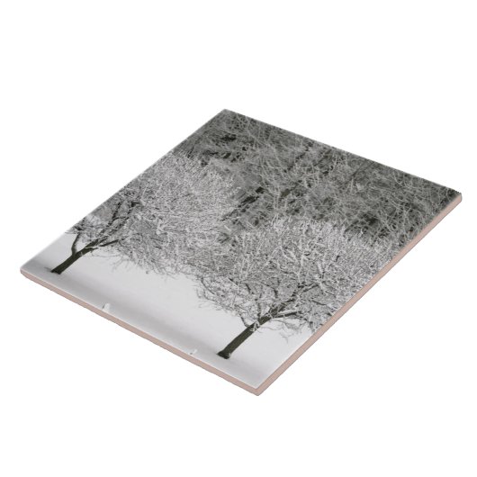 Door sneeuw bedekt landschap tegeltje (Zijkant)