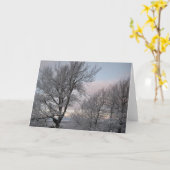 Door sneeuw bedekte takken kaart (Gele Bloem)