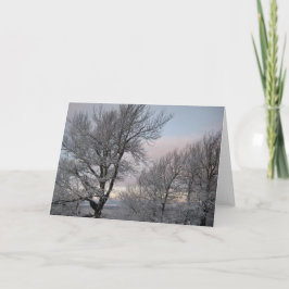 Door sneeuw bedekte takken kaart