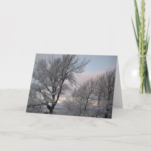 Door sneeuw bedekte takken kaart (Voorkant)