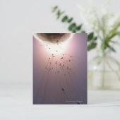 Door sperma bevruchte eieren briefkaart (Staand voorkant)