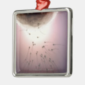 Door sperma bevruchte eieren metalen ornament (Links)