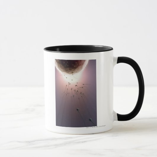 Door sperma bevruchte eieren mok (Rechts)