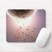 Door sperma bevruchte eieren muismat (Met muis)