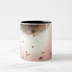 Door sperma bevruchte eieren tweekleurige koffiemok