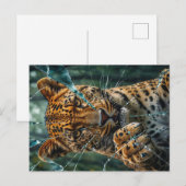 Doorbraak van luipaard briefkaart (Voorkant / Achterkant)