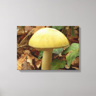 Doordaasdop Paddenstoel Canvas afdrukken
