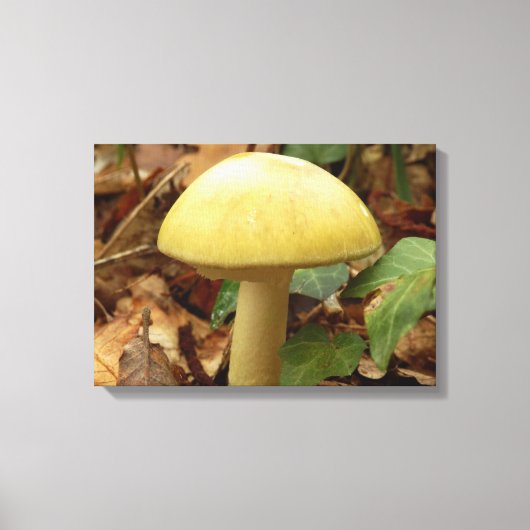 Doordaasdop Paddenstoel Canvas afdrukken (Voorkant)
