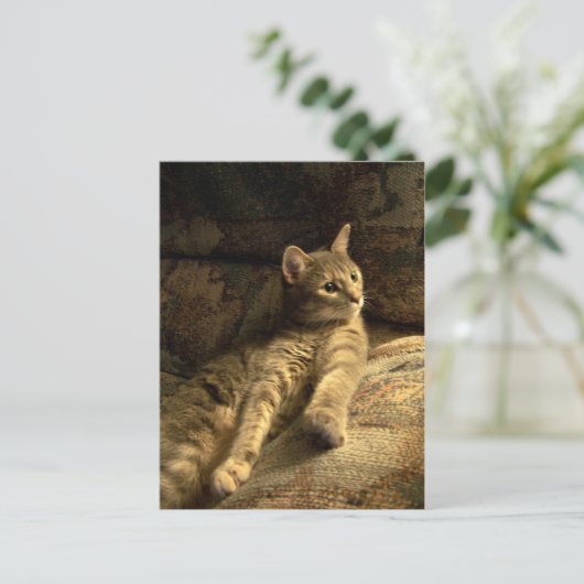 doordacht briefkaart (Staand voorkant)