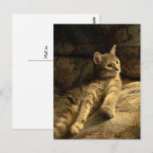 doordacht briefkaart (Voorkant / Achterkant)