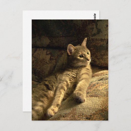 doordacht briefkaart (Voorkant / Achterkant)