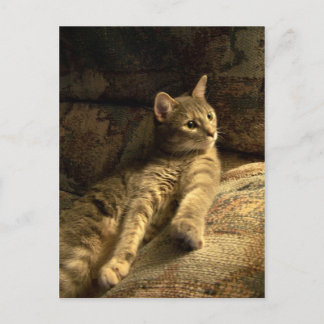 doordacht briefkaart