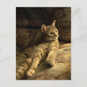 doordacht briefkaart (Voorkant)