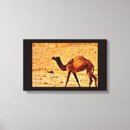 Doordacht Camel Canvas Afdruk