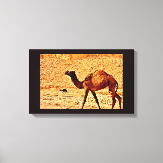 Doordacht Camel Canvas Afdruk (Voorkant)