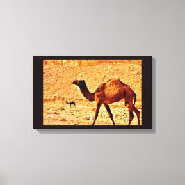 Doordacht Camel Canvas Afdruk