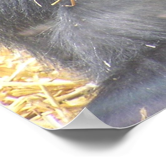 Doordacht Gorilla Poster (Hoek)