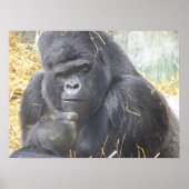 Doordacht Gorilla Poster (Voorkant)