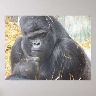 Doordacht Gorilla Poster