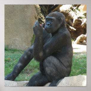Doordacht Gorilla-Posters Poster