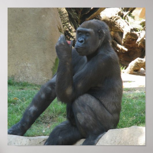 Doordacht Gorilla-Posters Poster (Voorkant)