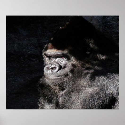 Doordacht Gorilla Wall Poster (Voorkant)