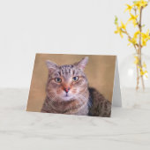 Doordacht Kat goed Kaart (Gele Bloem)