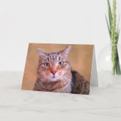 Doordacht Kat goed Kaart (Voorkant)