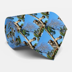 Doordacht Koala-Beer in een boom, Stropdas