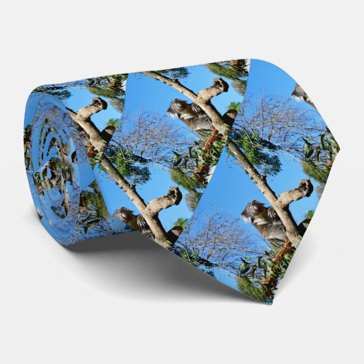 Doordacht Koala-Beer in een boom, Stropdas (Opgerold)