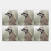 Doordacht opvallende papierbladen voor rotatiepers inpakpapier vel (Voorkant)