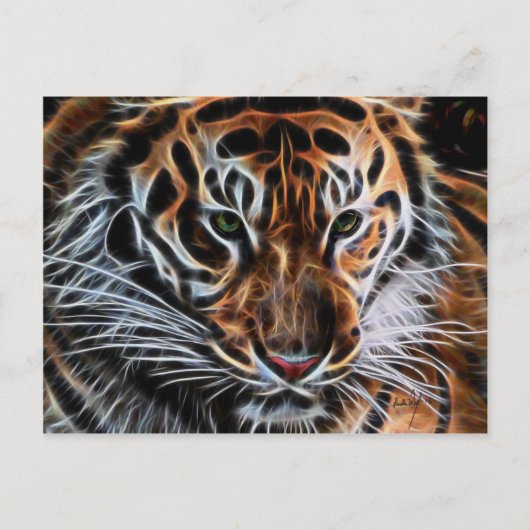 Doordacht tijger briefkaart (Voorkant)