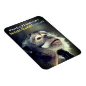 Doordachte aap die grappig citaat denkt magneet (Rechterzijde)