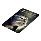 Doordachte aap die grappig citaat denkt magneet (Linkerzijde)