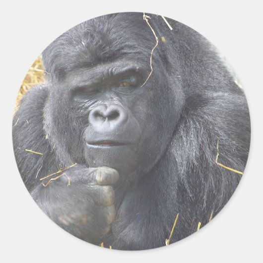 Doordachte Gorilla Sticker (Voorkant)