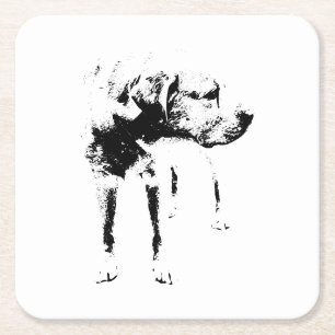 Doordachte labrador – rustige charme kartonnen onderzetters