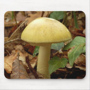 Doordpet paddenstoel Muis Muismat