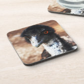 Doordringende ogen van de outback bier onderzetter (Linkerzijde)