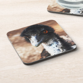 Doordringende ogen van de outback bier onderzetter